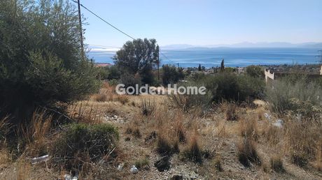 Αγροτεμάχια 293 τ.μ. προς πώληση