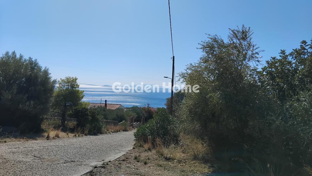 Αγροτεμάχια 293 τ.μ. πρός πώληση, Αττική - Υπόλοιπο, Μέγαρα