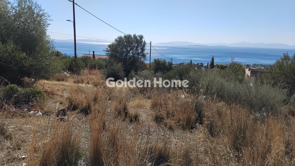 Αγροτεμάχια 293 τ.μ. πρός πώληση, Αττική - Υπόλοιπο, Μέγαρα