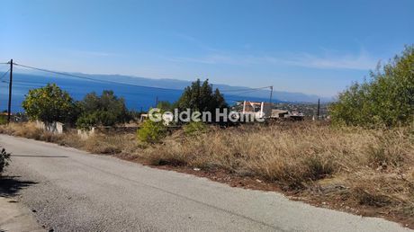Αγροτεμάχια 363 τ.μ. προς πώληση