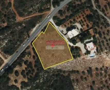 Αγροτεμάχια 3.693 τ.μ. προς πώληση