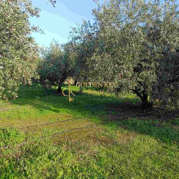 Οικόπεδο 800 τ.μ. προς πώληση