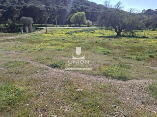 Οικόπεδο 525 τ.μ. πρός πώληση, Αττική - Υπόλοιπο, Κερατέα-thumb-4