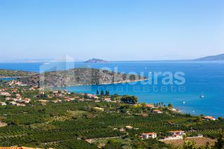 Μονοκατοικία 230 τ.μ. προς ενοικίαση, Επίδαυρος-thumb-5
