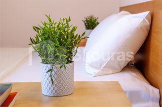 Μονοκατοικία 230 τ.μ. προς ενοικίαση, Επίδαυρος-thumb-17