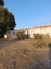 Κατάστημα 600 τ.μ. πρός ενοικίαση, Δωδεκάνησα, Κως-thumb-12