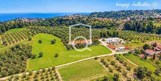 Αγροτεμάχια 10.995 τ.μ. προς πώληση