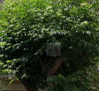 Οικόπεδο 270 τ.μ. πρός πώληση