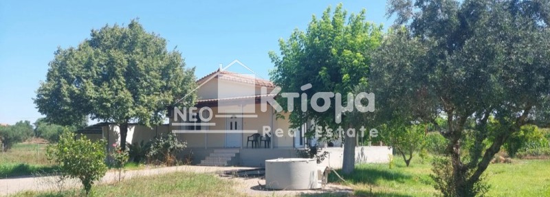 Μονοκατοικία 73 τ.μ. πρός πώληση, Ν. Ηλείας, Πύργος