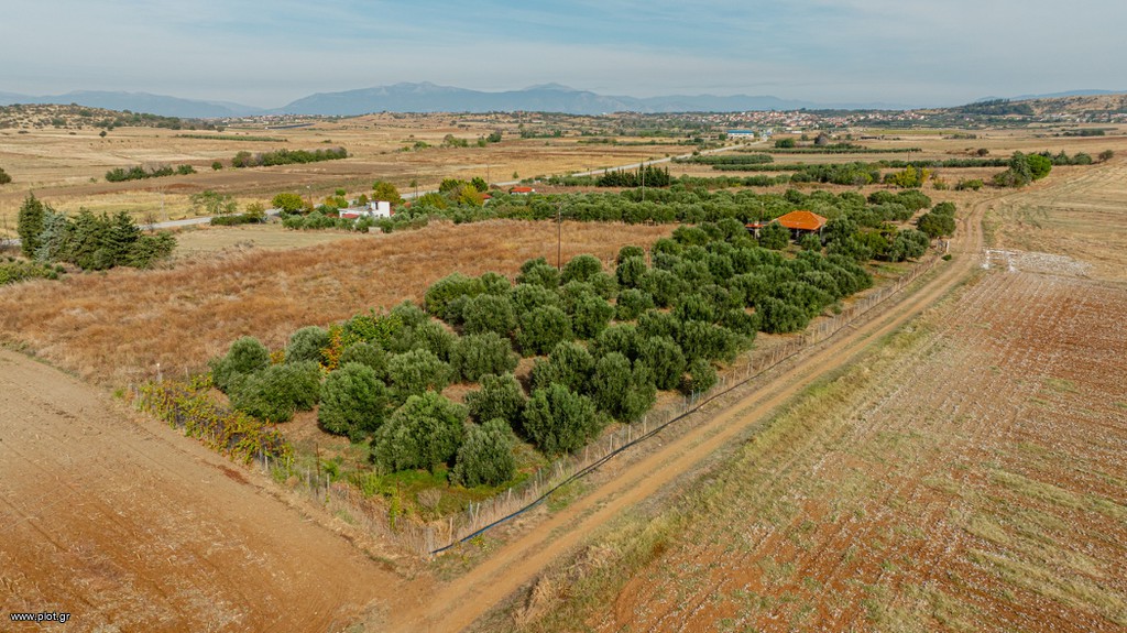 Μονοκατοικία 38 τ.μ. πρός πώληση, Ν. Ξάνθης, Άβδηρα