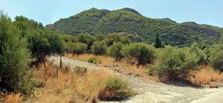 Αγροτεμάχια 593 τ.μ. πρός πώληση