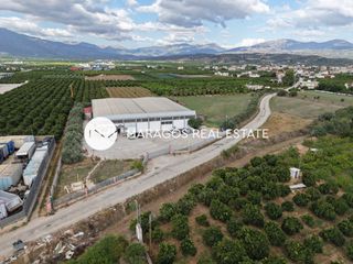 Βιομηχανικός χώρος 1.642 τ.μ. πρός πώληση, Αργολίδα, Άργος-thumb-6