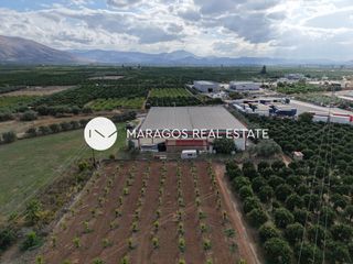 Βιομηχανικός χώρος 1.642 τ.μ. πρός πώληση, Αργολίδα, Άργος-thumb-24