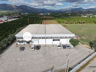Βιομηχανικός χώρος 1.642 τ.μ. πρός πώληση, Αργολίδα, Άργος-thumb-1