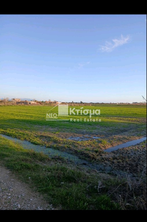 Αγροτεμάχια 4.885,25 τ.μ. προς πώληση, Αγία Μαρίνα Πύργου