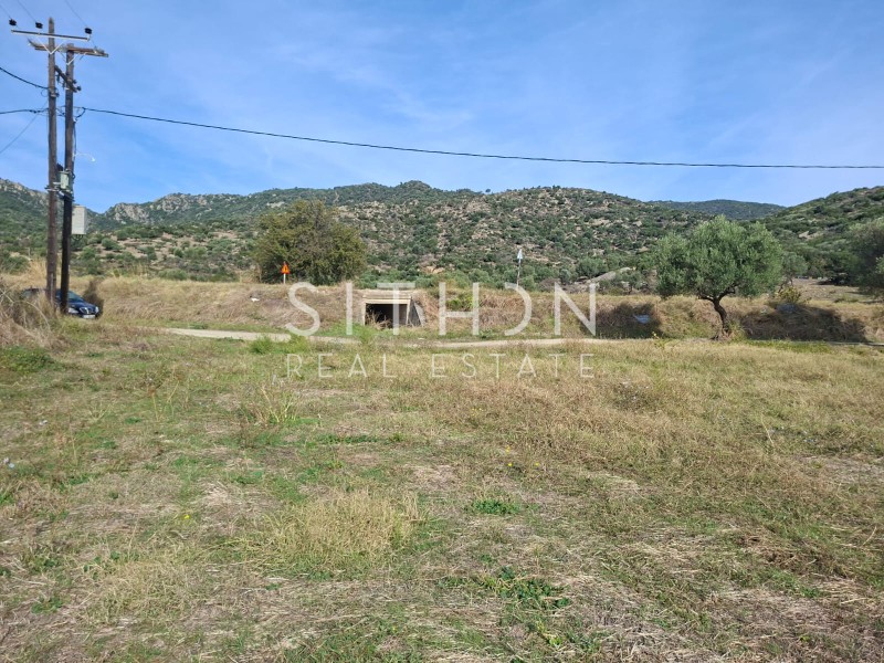 Αγροτεμάχια 897 τ.μ. προς πώληση, Παραλία Συκιάς