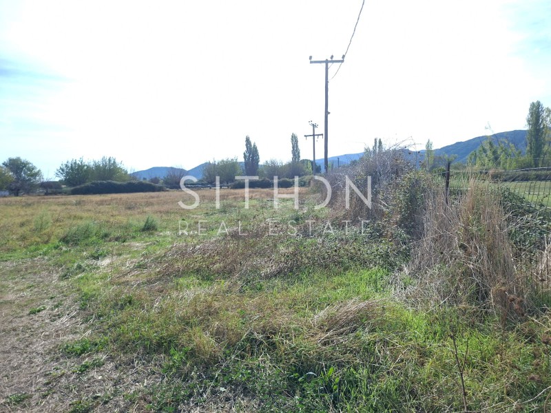 Αγροτεμάχια 897 τ.μ. προς πώληση, Παραλία Συκιάς