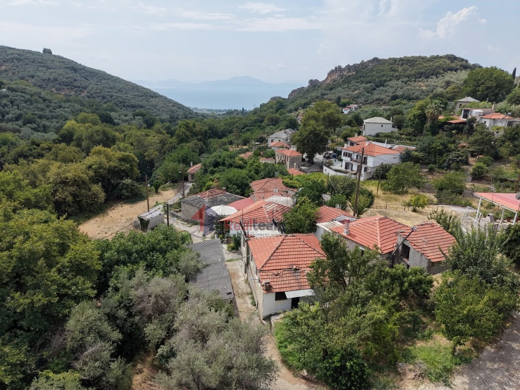 Μονοκατοικία 73 τ.μ. πρός πώληση, Μαγνησία, Αρτέμιδα