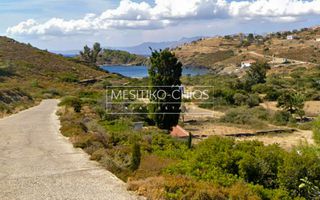 Αγροτεμάχια 5.987 τ.μ. προς πώληση, Οινούσσες-thumb-1