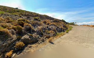 Αγροτεμάχια 5.987 τ.μ. προς πώληση, Οινούσσες-thumb-16