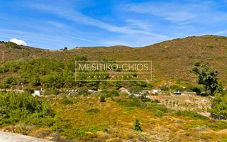 Αγροτεμάχια 5.987 τ.μ. προς πώληση, Οινούσσες-thumb-2