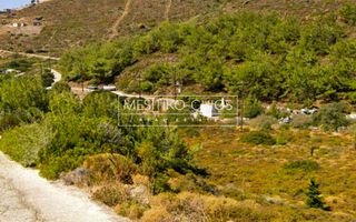 Αγροτεμάχια 5.987 τ.μ. προς πώληση, Οινούσσες-thumb-7
