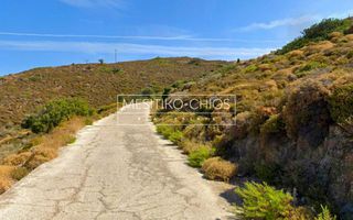 Αγροτεμάχια 5.987 τ.μ. προς πώληση, Οινούσσες-thumb-12