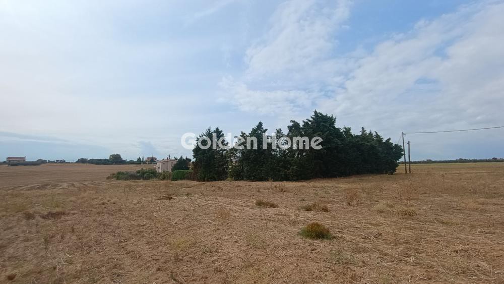 Αγροτεμάχια 4.879 τ.μ. προς πώληση, Μεσημέρι Επανομής