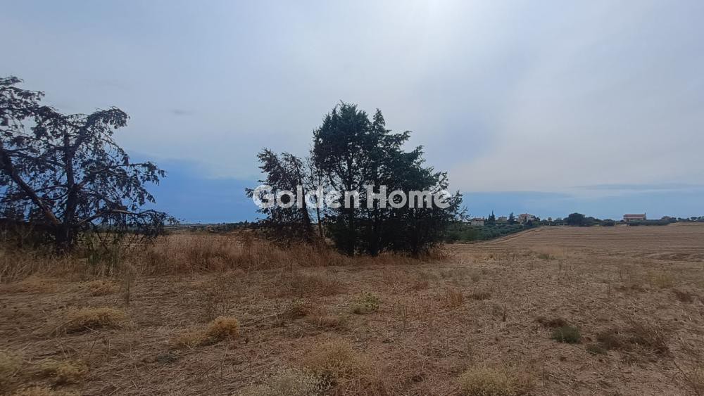 Αγροτεμάχια 4.879 τ.μ. προς πώληση, Μεσημέρι Επανομής