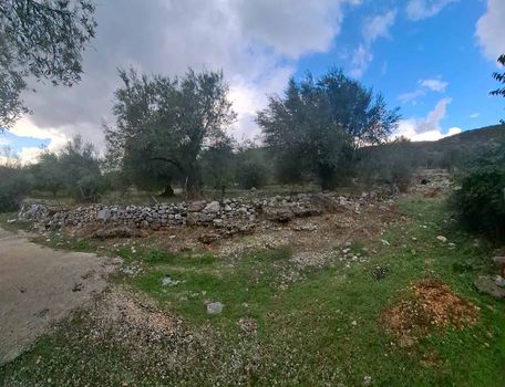 Οικόπεδο 500 τ.μ. προς πώληση