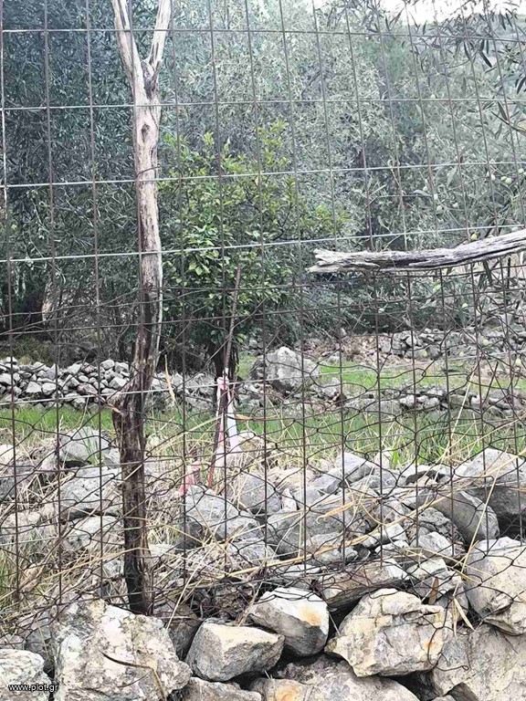 Οικόπεδο 500 τ.μ. προς πώληση, Σκορπιώνα