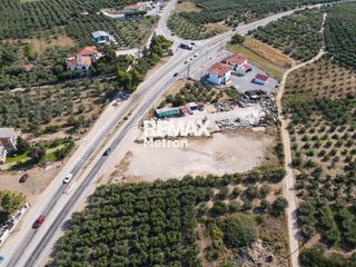 Αγροτεμάχια 2.321,96 τ.μ. προς πώληση, Ψακούδια-thumb-6
