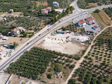 Αγροτεμάχια 2.321,96 τ.μ. πρός πώληση