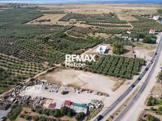Αγροτεμάχια 2.321,96 τ.μ. προς πώληση, Ψακούδια-thumb-19