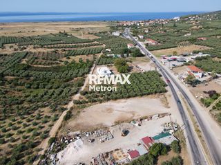Αγροτεμάχια 2.321,96 τ.μ. προς πώληση, Ψακούδια-thumb-21