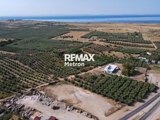 Αγροτεμάχια 2.321,96 τ.μ. προς πώληση, Ψακούδια-thumb-17
