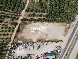 Αγροτεμάχια 2.321,96 τ.μ. προς πώληση, Ψακούδια-thumb-14