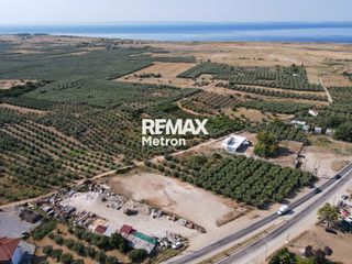 Αγροτεμάχια 2.321,96 τ.μ. προς πώληση, Ψακούδια-thumb-16