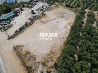 Αγροτεμάχια 2.321,96 τ.μ. προς πώληση, Ψακούδια-thumb-29
