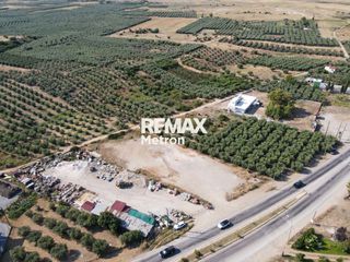 Αγροτεμάχια 2.321,96 τ.μ. προς πώληση, Ψακούδια-thumb-18