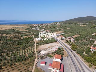 Αγροτεμάχια 2.321,96 τ.μ. προς πώληση, Ψακούδια-thumb-12