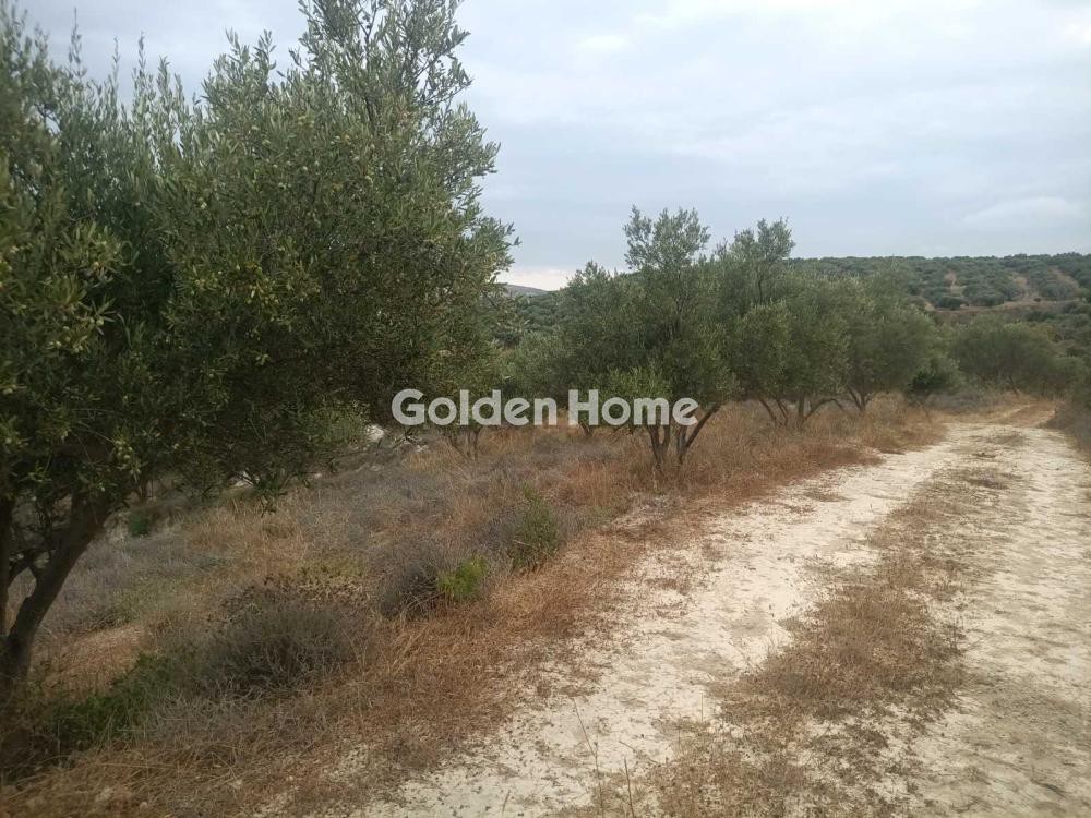 Οικόπεδο 590 τ.μ. προς πώληση, Βαθειανός Κάμπος