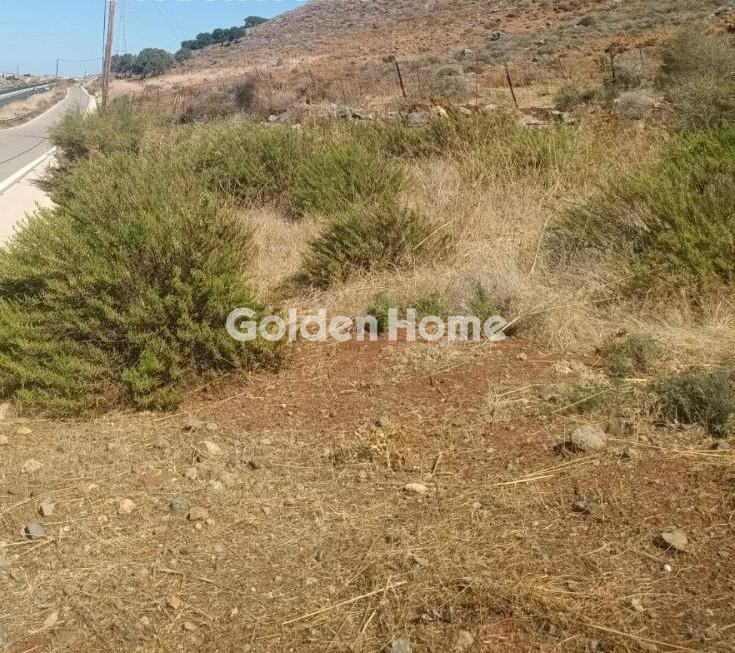 Αγροτεμάχια 416 τ.μ. προς πώληση, Αγία Πελαγία Γουβών