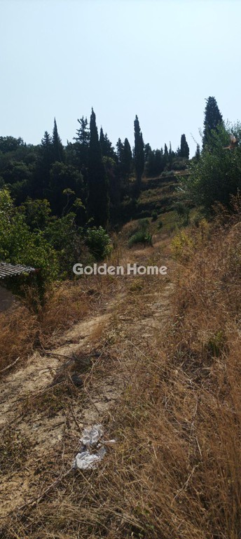 Αγροτεμάχια 7.236 τ.μ. προς πώληση, Άγιος Γεώργιος Κέρκυρας