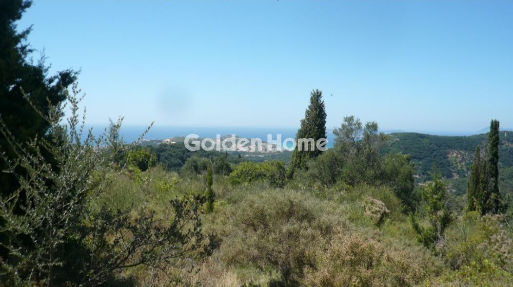Αγροτεμάχια 7.236 τ.μ. προς πώληση, Άγιος Γεώργιος Κέρκυρας