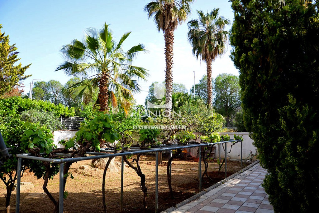 Διαμέρισμα 58 τ.μ. προς ενοικίαση, Ασύρματος Αλίανθου