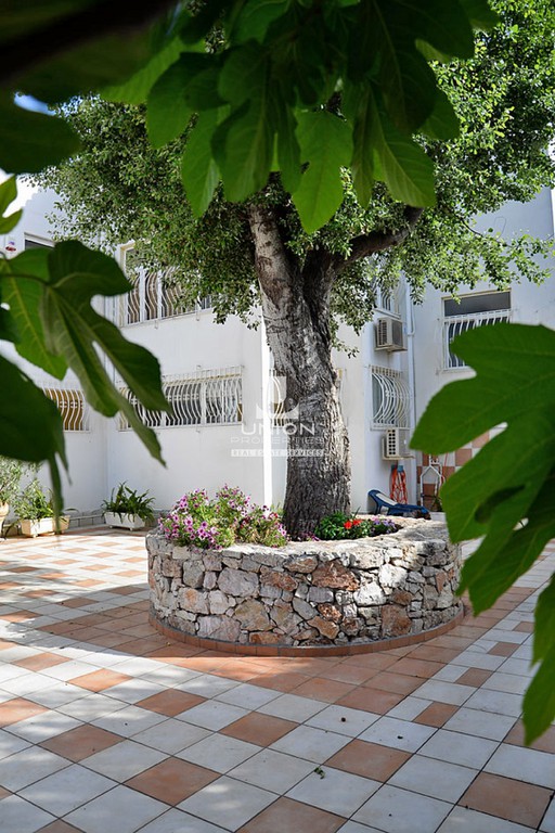 Διαμέρισμα 58 τ.μ. προς ενοικίαση, Ασύρματος Αλίανθου