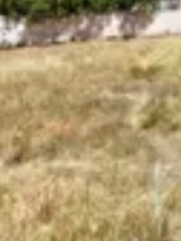Land plot 857 sqm for sale