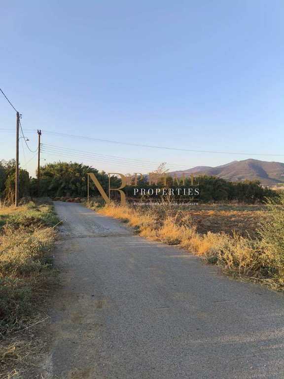 Αγροτεμάχια 3.000 τ.μ. πρός πώληση, Θεσσαλονίκη - Περιφ/Κοί Δήμοι, Θέρμη