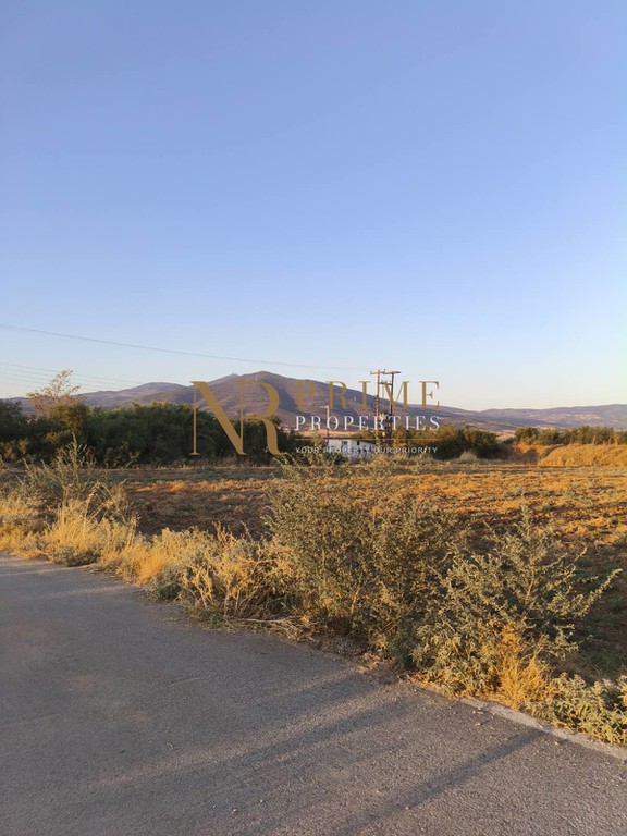 Αγροτεμάχια 3.000 τ.μ. πρός πώληση, Θεσσαλονίκη - Περιφ/Κοί Δήμοι, Θέρμη